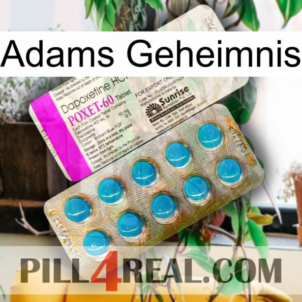 Adams Secret new07.jpg
